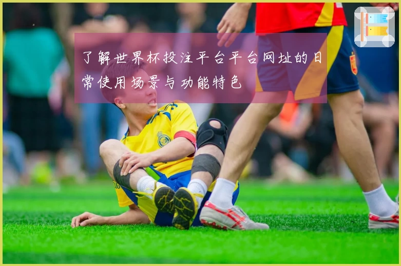 了解世界杯投注平台平台网址的日常使用场景与功能特色