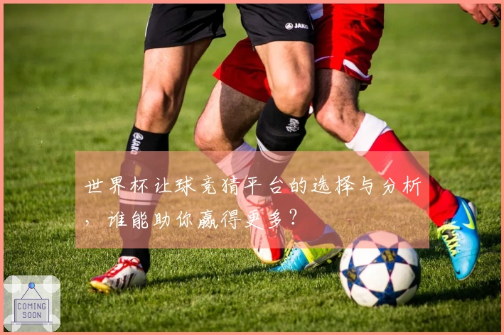 世界杯让球竞猜平台的选择与分析,谁能助你赢得更多?
