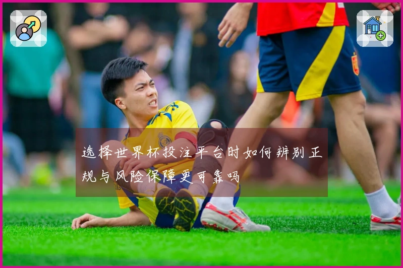 选择世界杯投注平台时如何辨别正规与风险保障更可靠吗