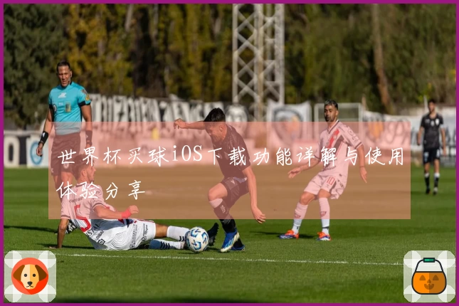 世界杯买球iOS下载功能详解与使用体验分享