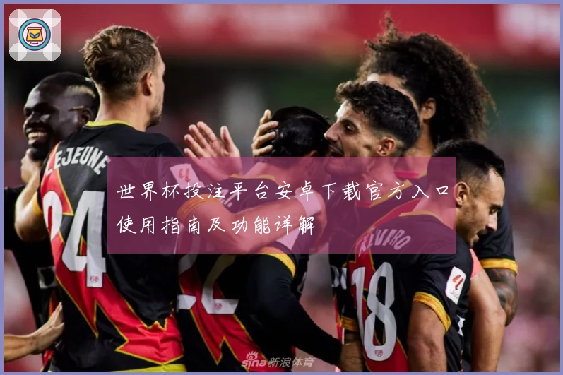 世界杯投注平台安卓下载官方入口使用指南及功能详解