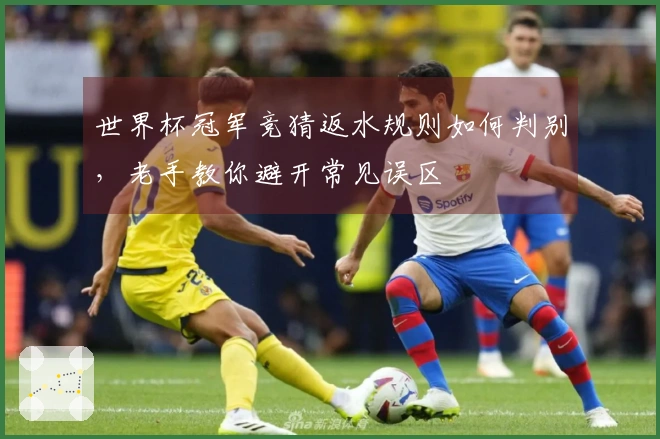 世界杯冠军竞猜返水规则如何判别，老手教你避开常见误区