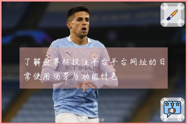 了解世界杯投注平台平台网址的日常使用场景与功能特色